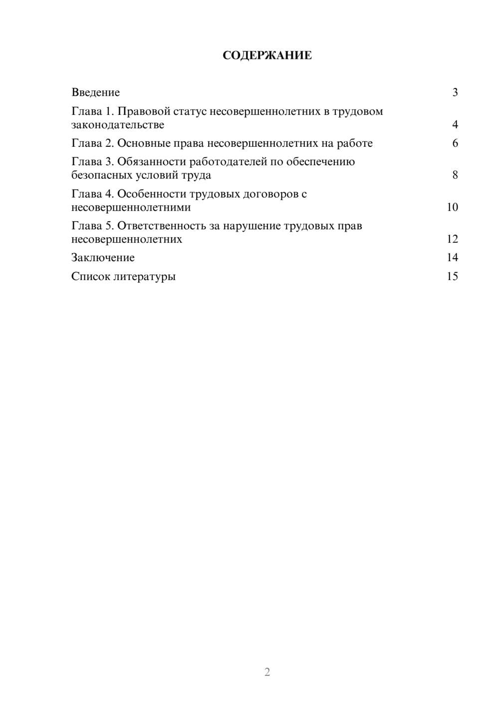 Предпросмотр доклада 2