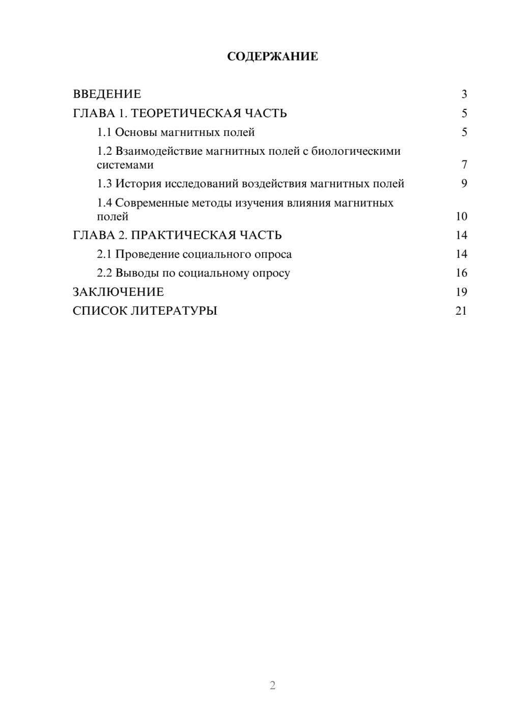 Предпросмотр проекта 2