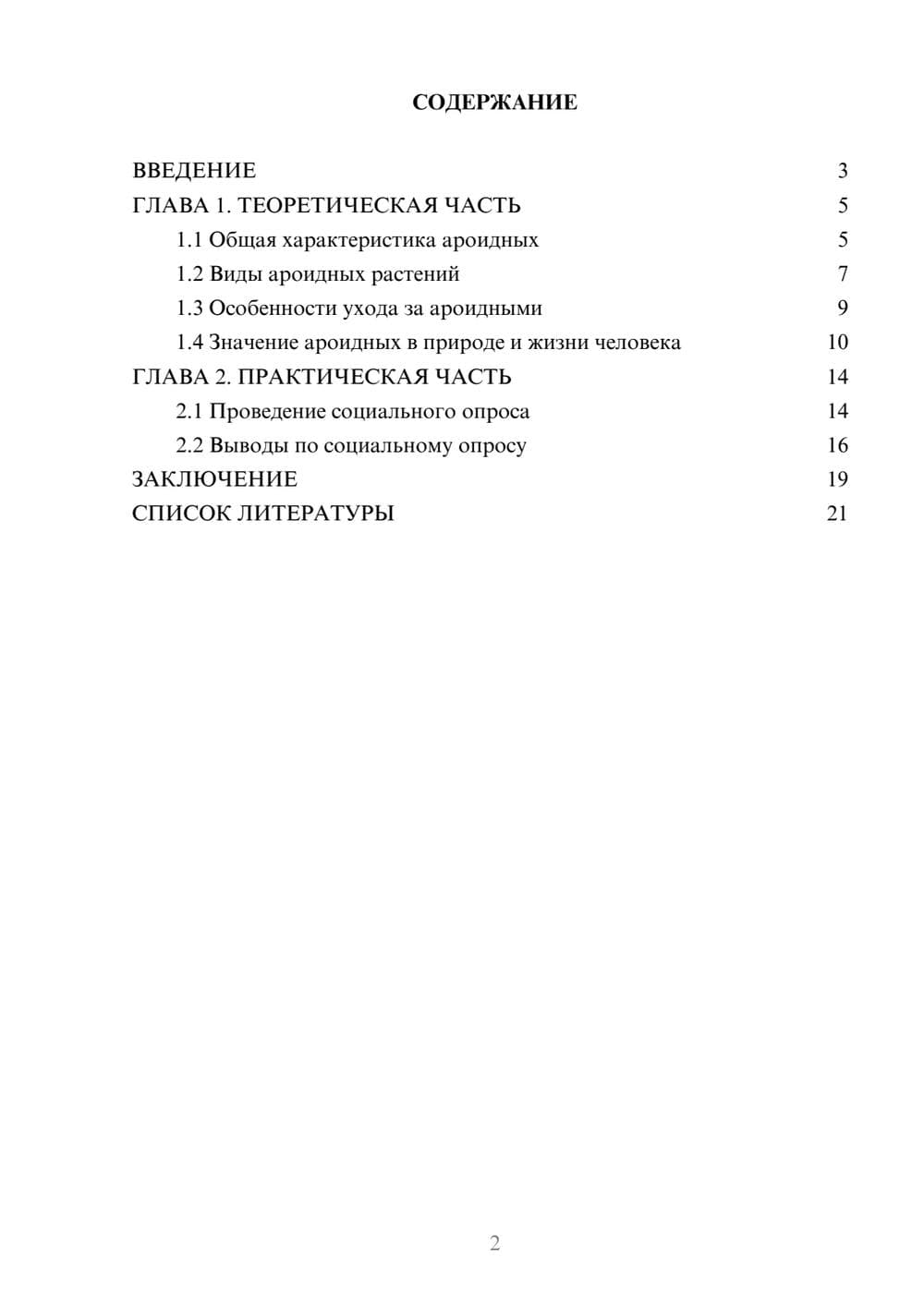 Предпросмотр проекта 2