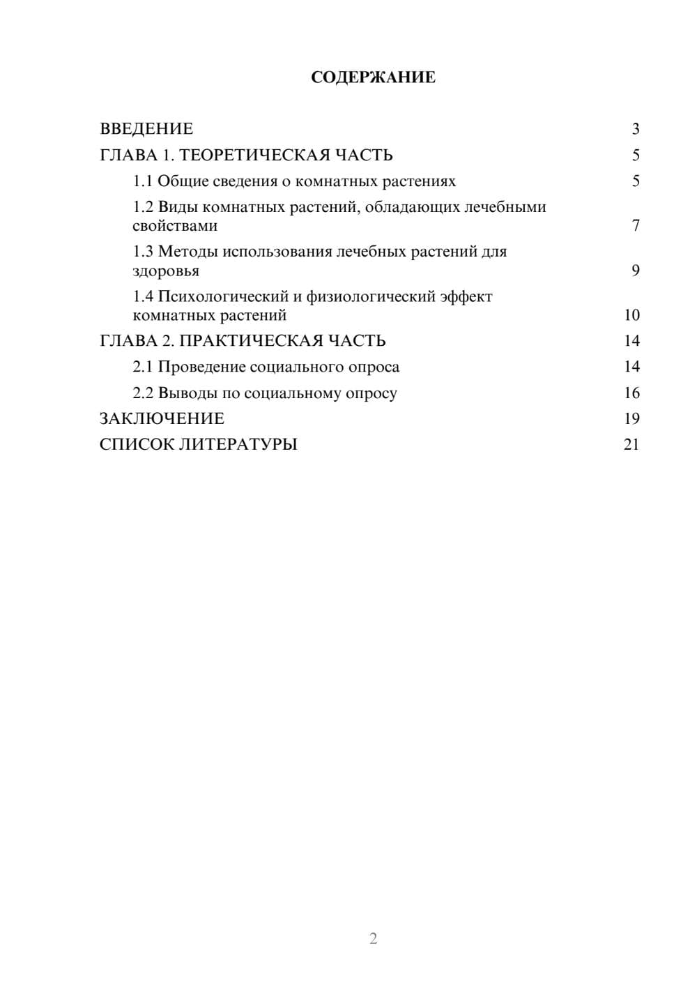 Предпросмотр проекта 2