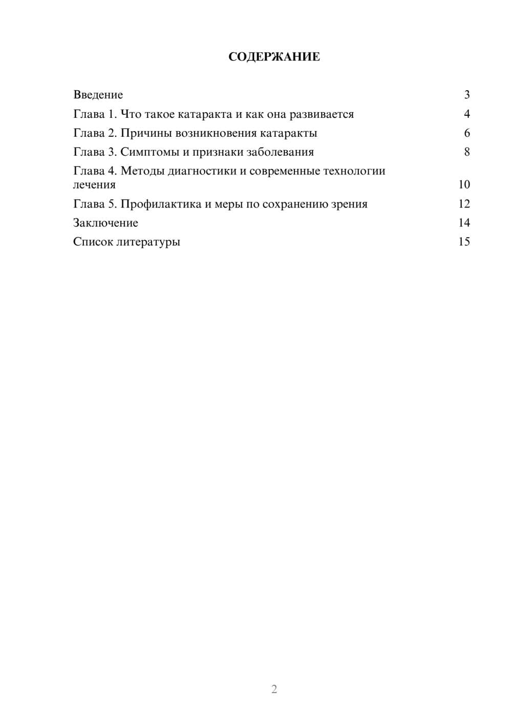 Предпросмотр доклада 2