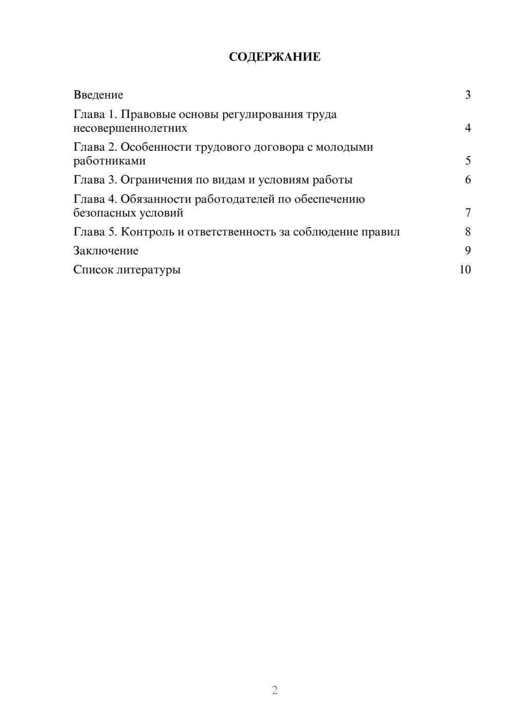 Предпросмотр доклада 2
