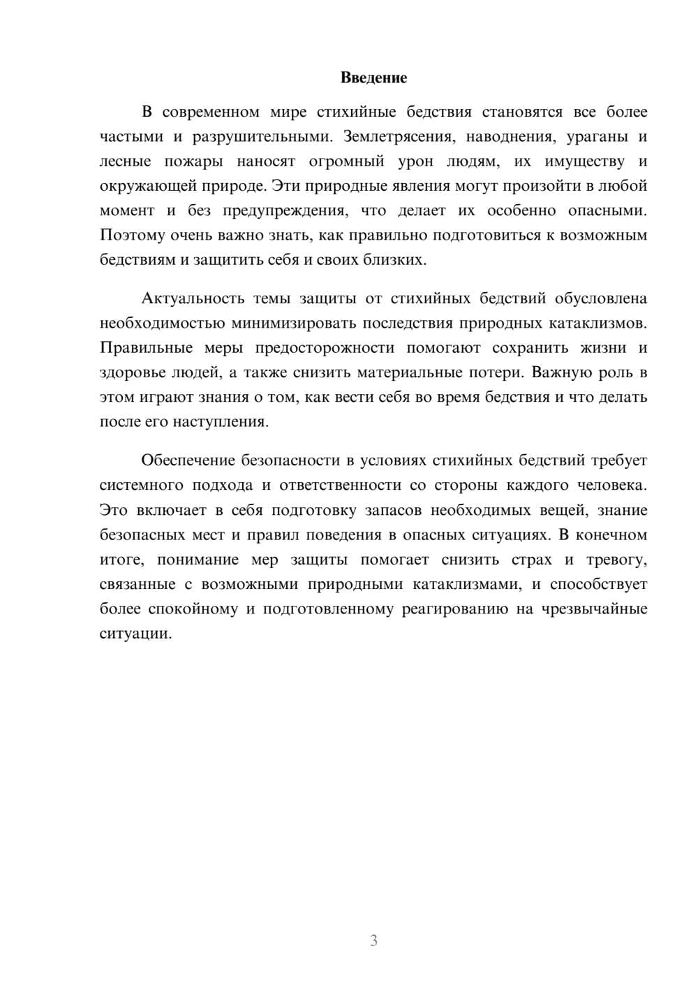 Предпросмотр доклада 3