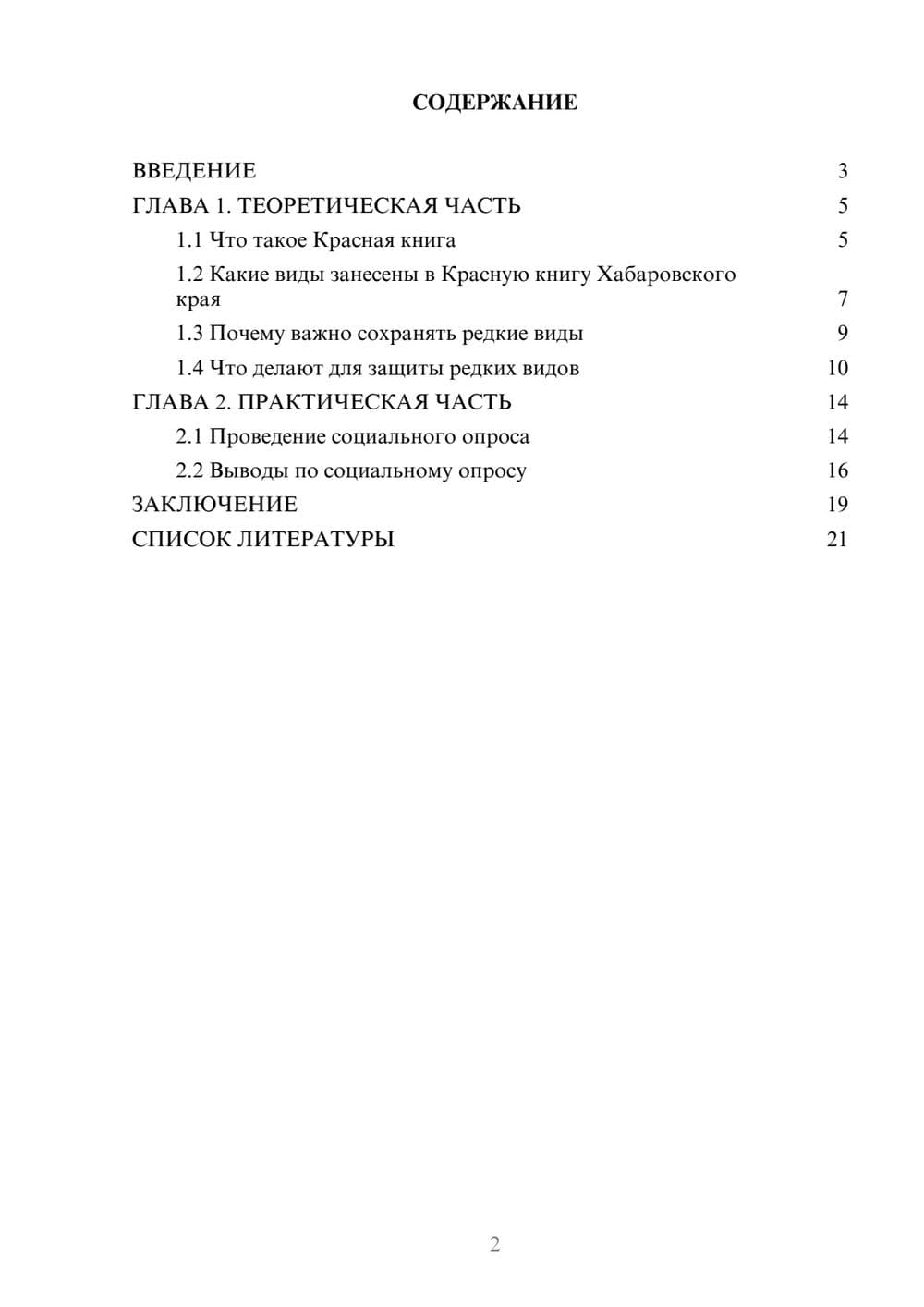 Предпросмотр проекта 2