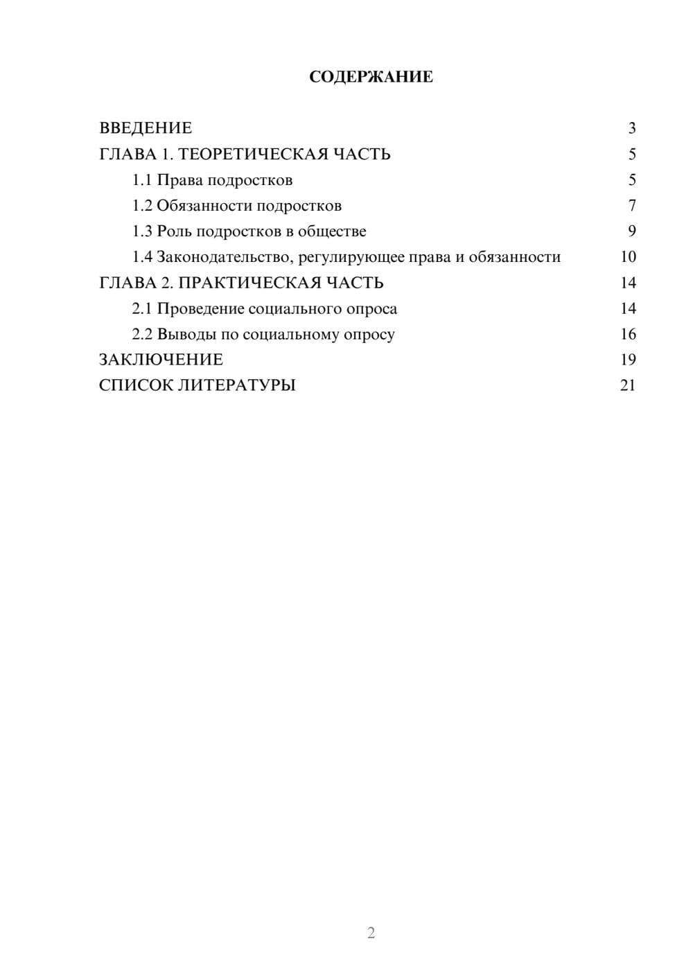 Предпросмотр проекта 2