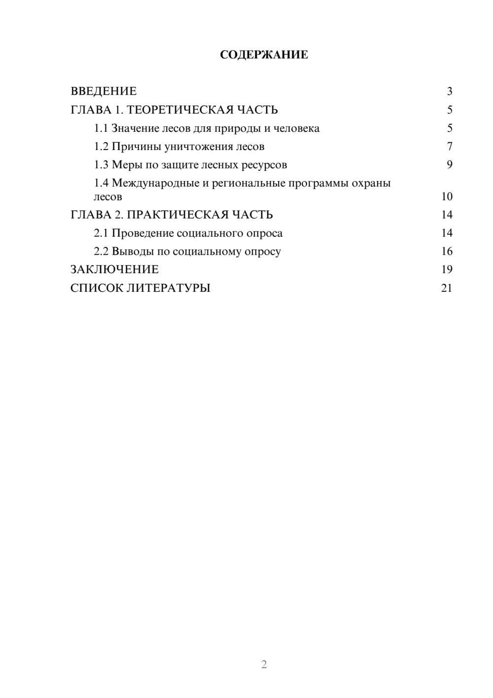 Предпросмотр проекта 2