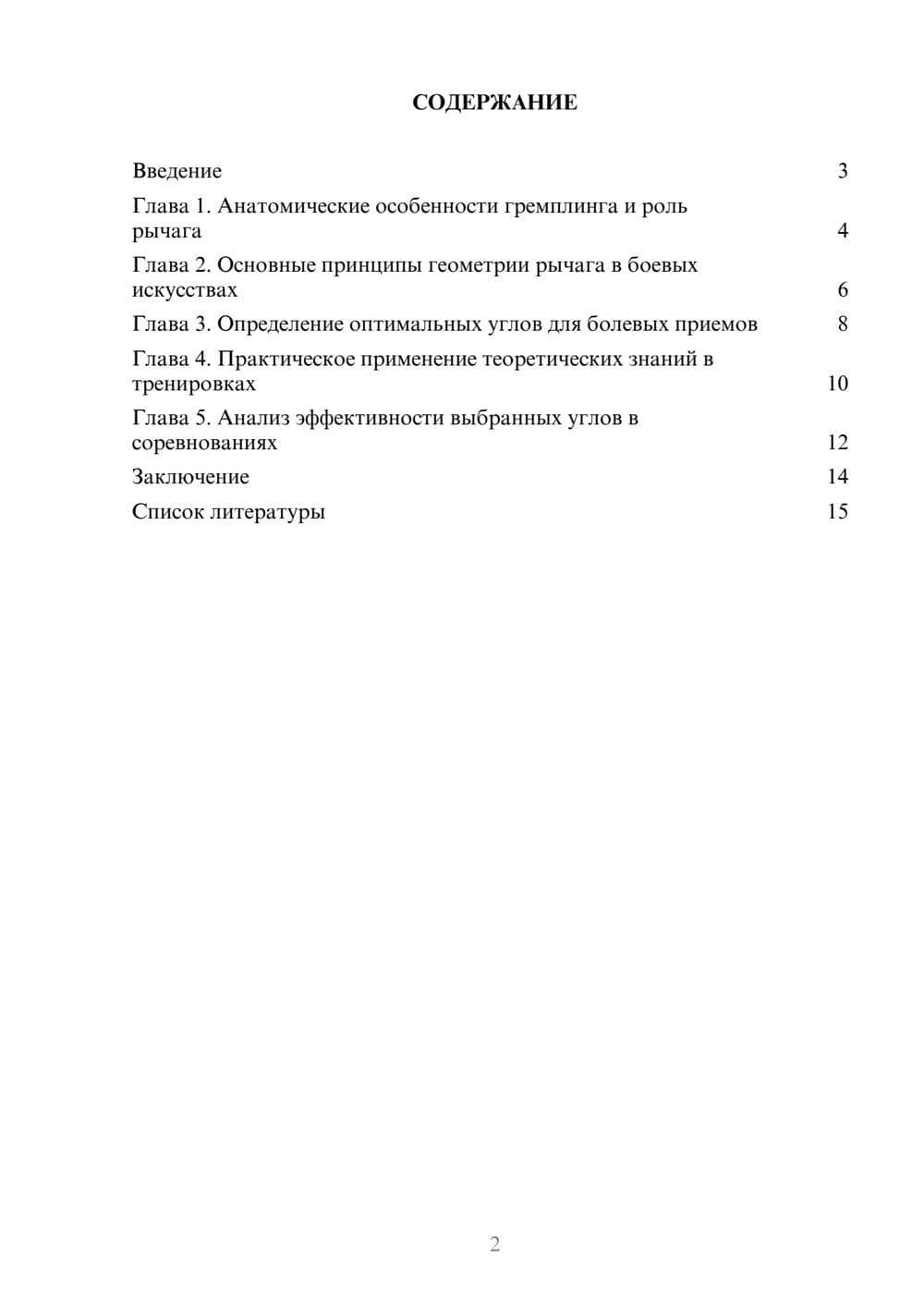 Предпросмотр доклада 2