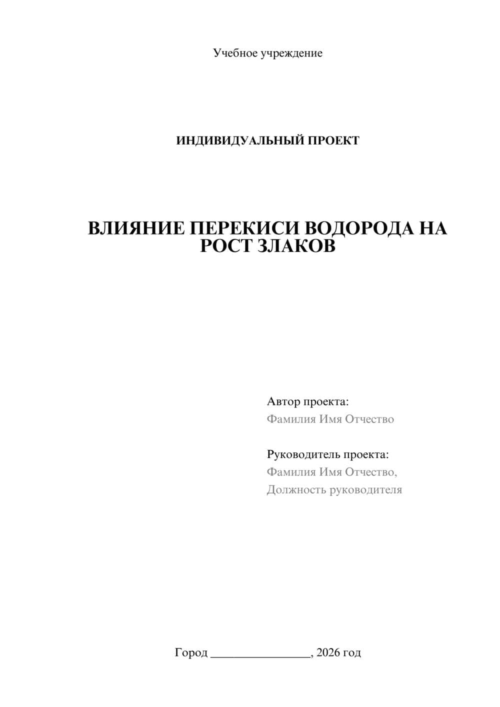 Предпросмотр проекта 1