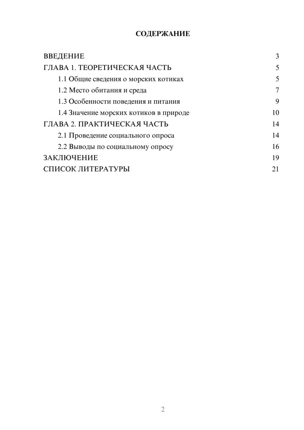 Предпросмотр проекта 2