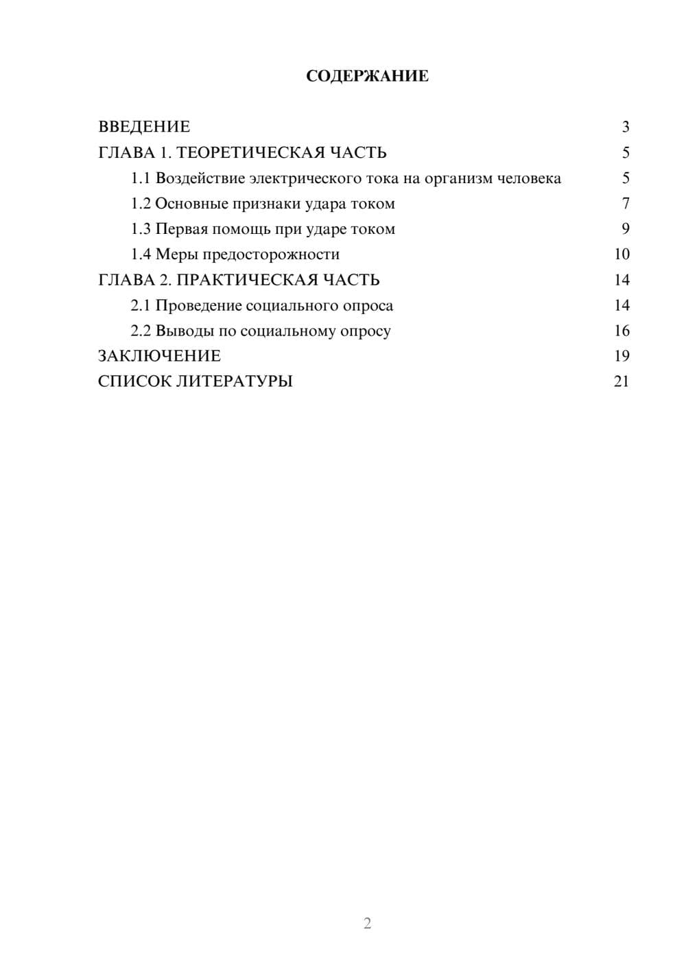 Предпросмотр проекта 2