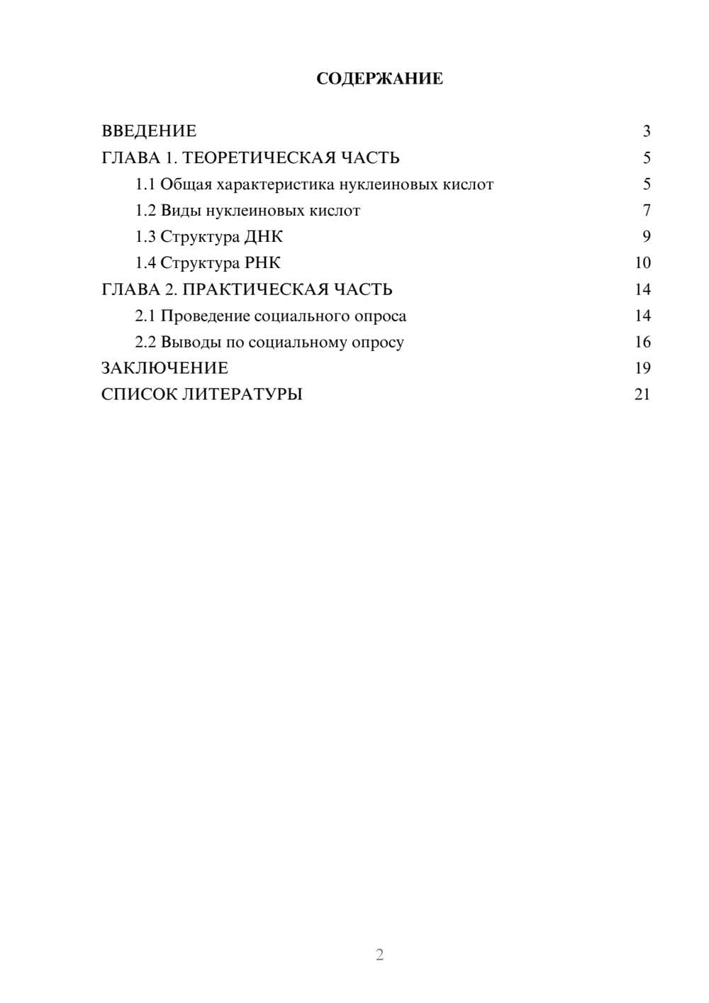 Предпросмотр проекта 2
