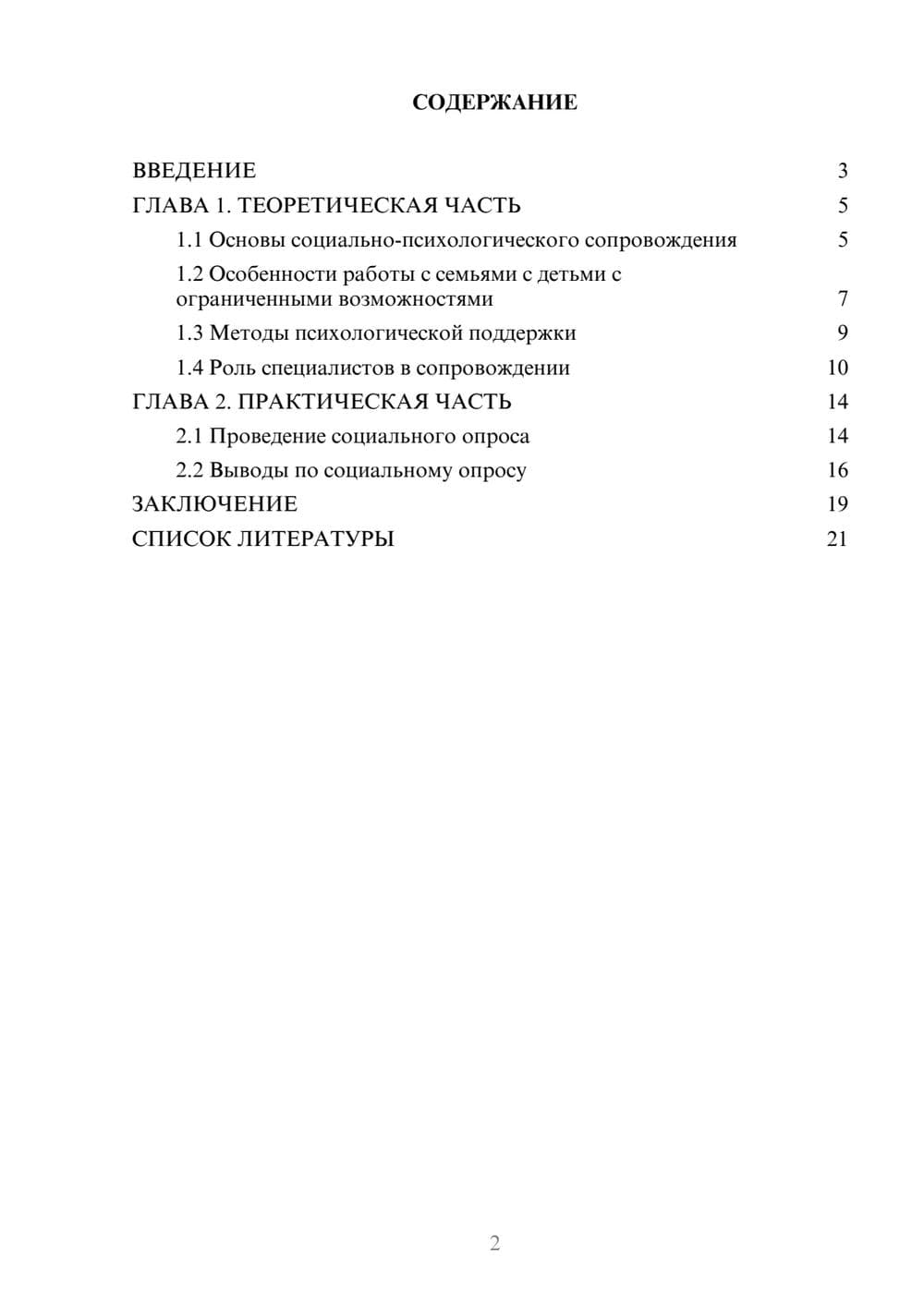 Предпросмотр проекта 2