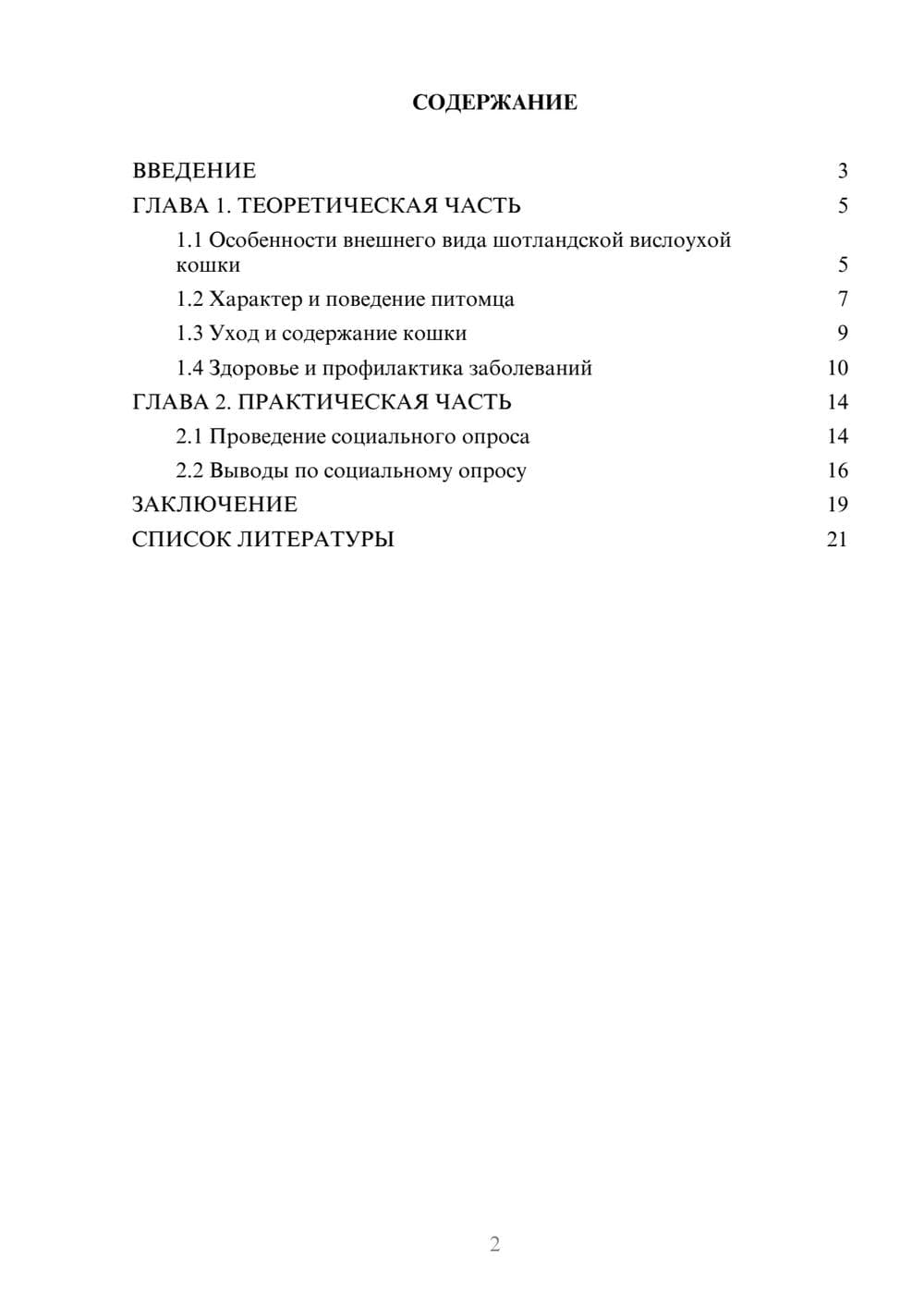 Предпросмотр проекта 2