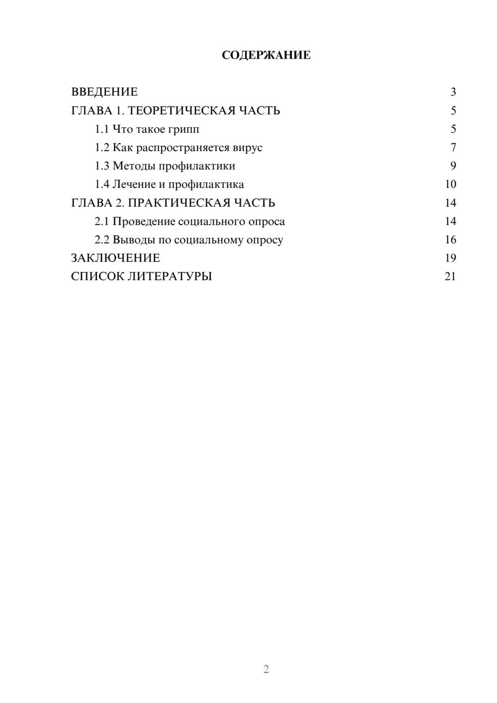 Предпросмотр проекта 2