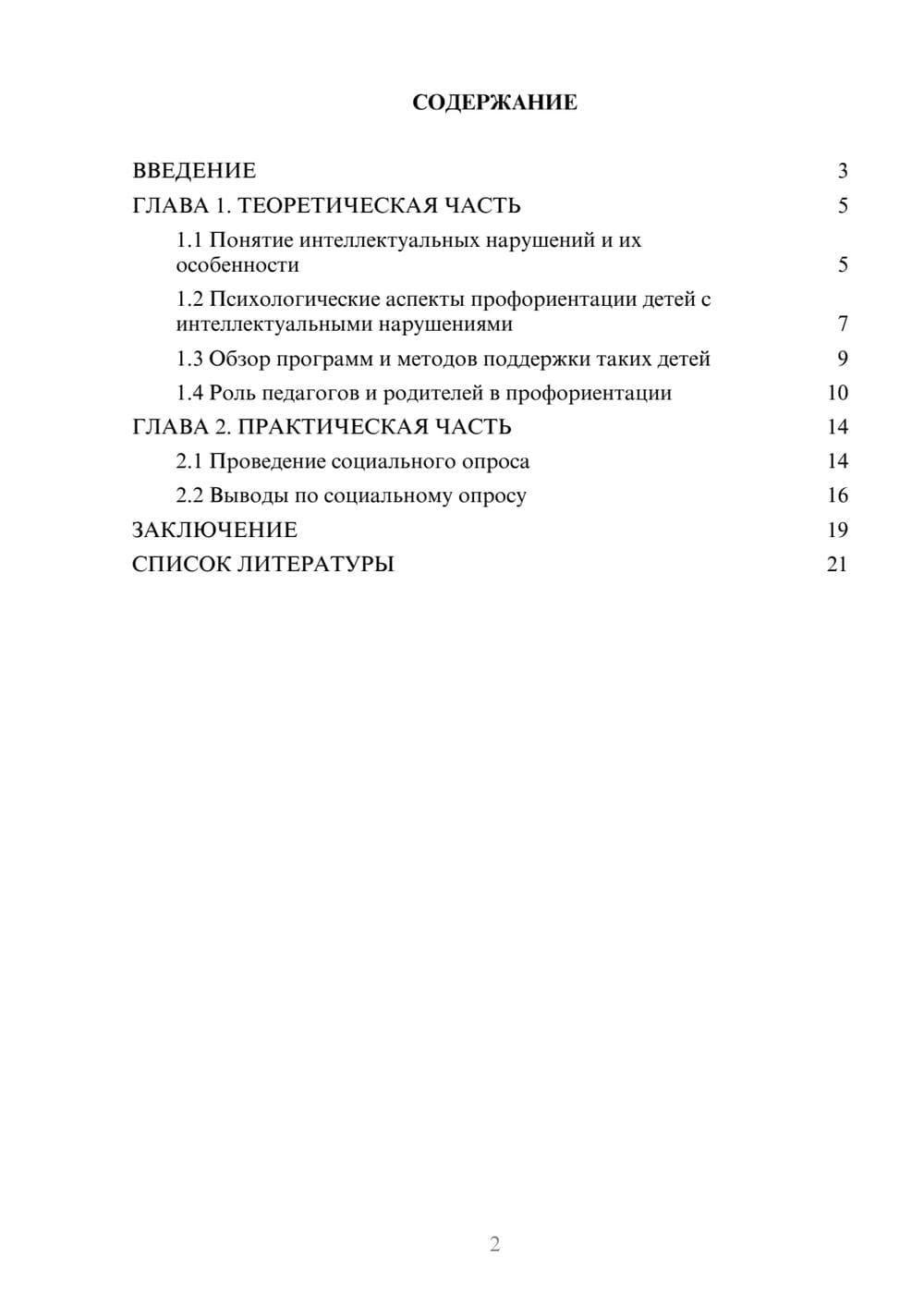 Предпросмотр проекта 2