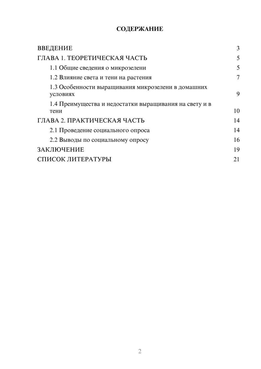 Предпросмотр проекта 2