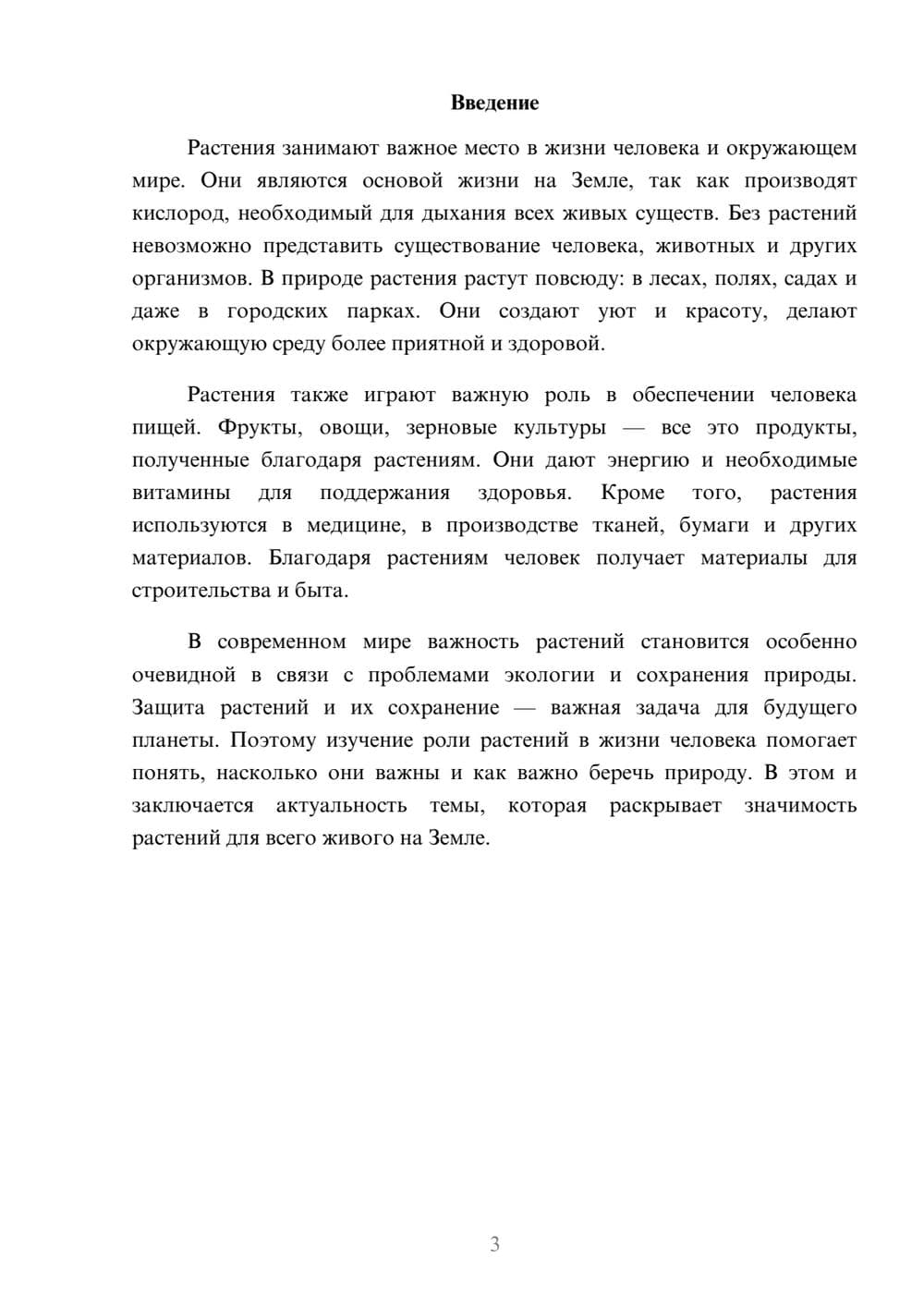 Предпросмотр доклада 3