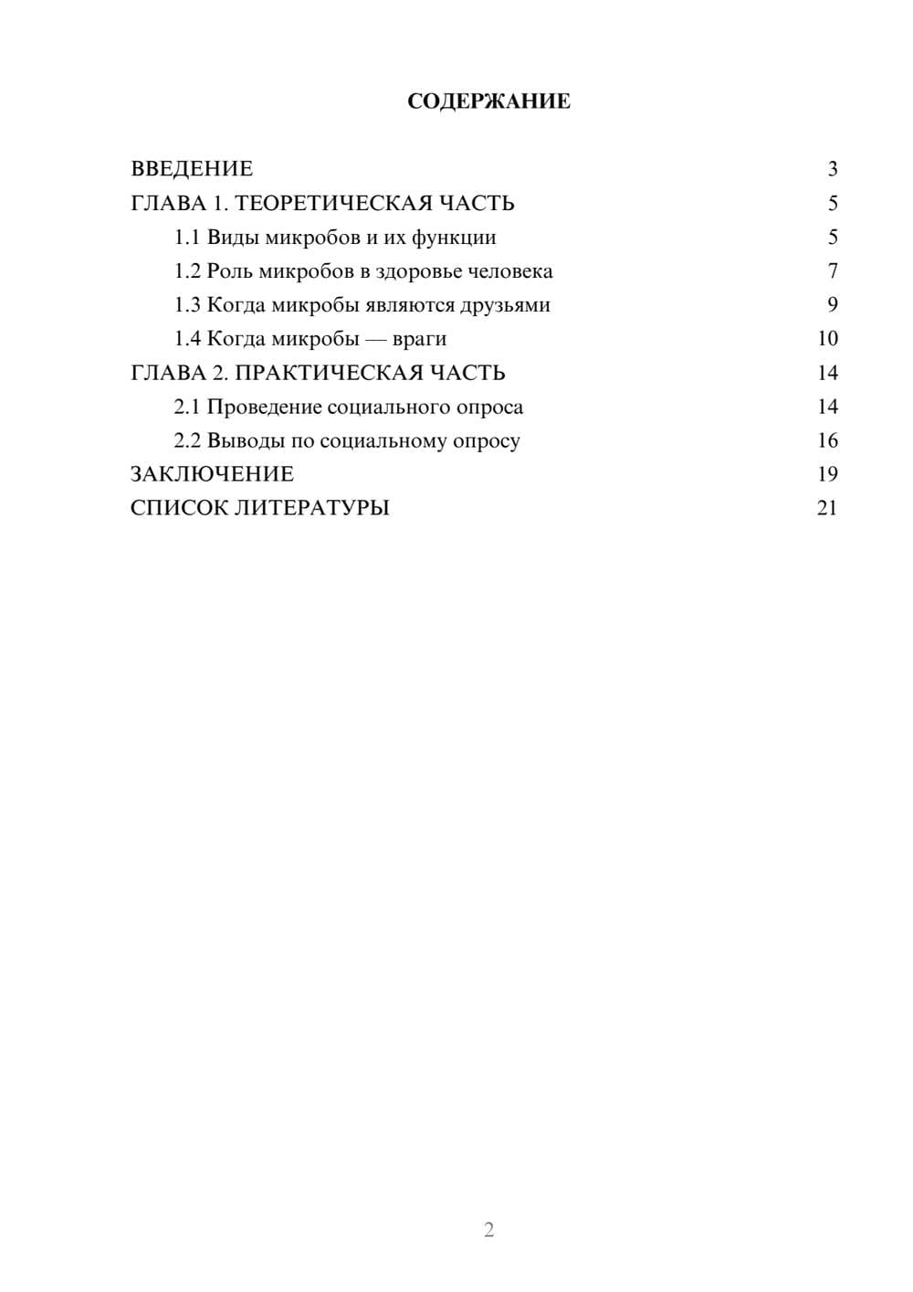 Предпросмотр проекта 2