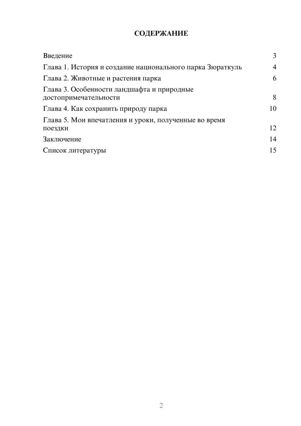 Предпросмотр доклада 2