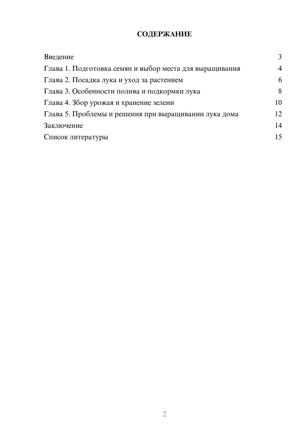 Предпросмотр доклада 2