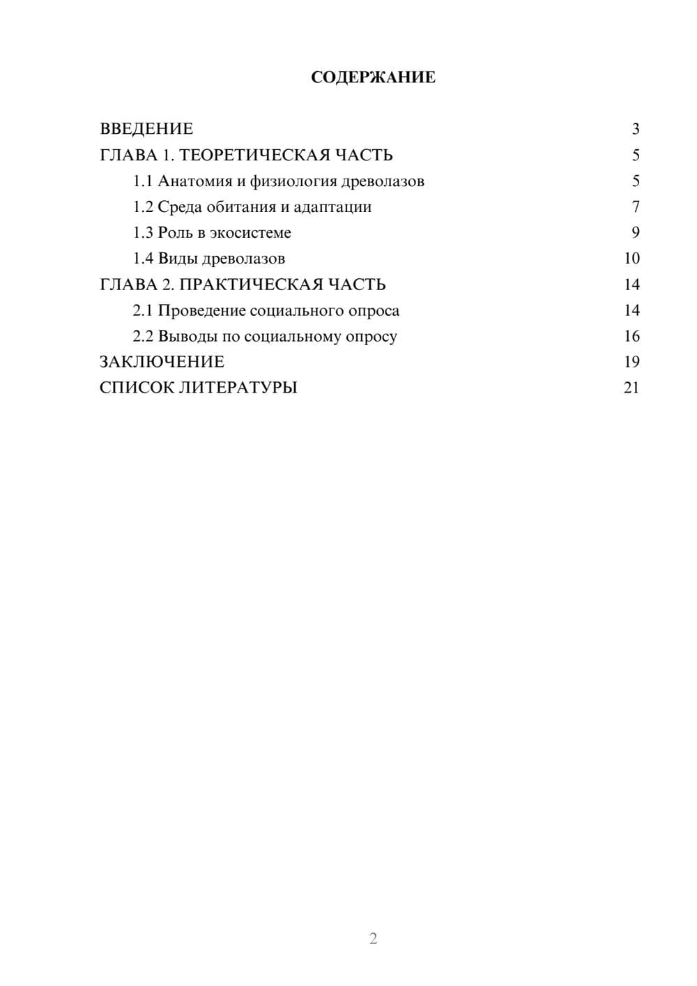 Предпросмотр проекта 2