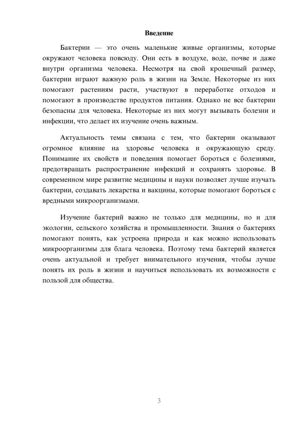 Предпросмотр доклада 3
