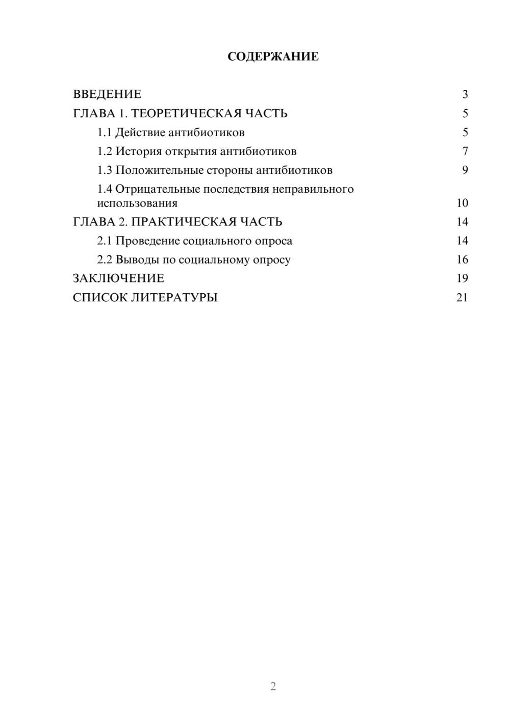 Предпросмотр проекта 2