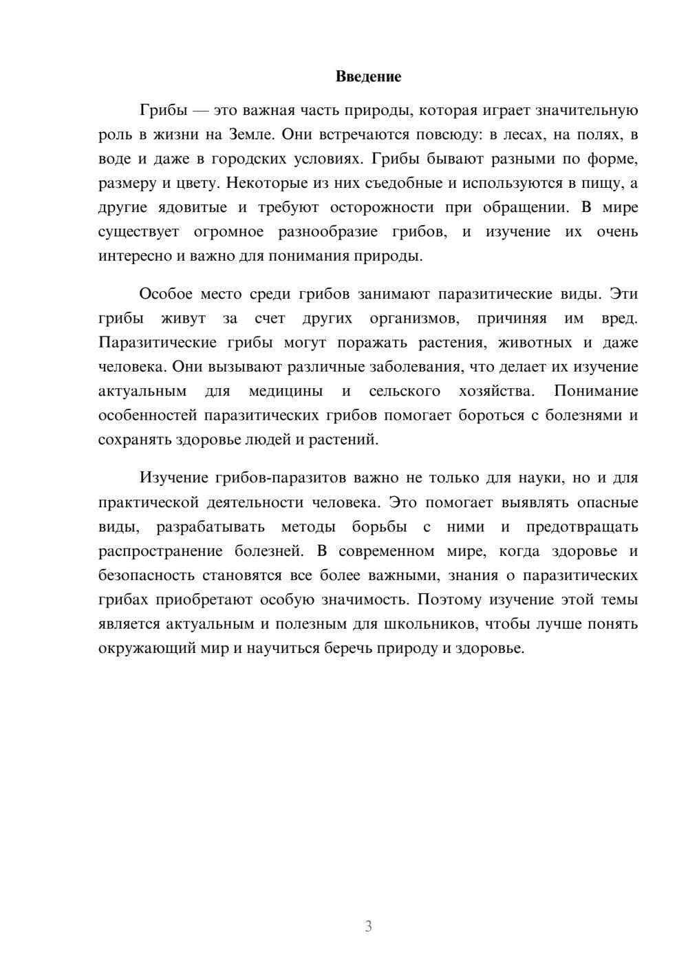 Предпросмотр доклада 3