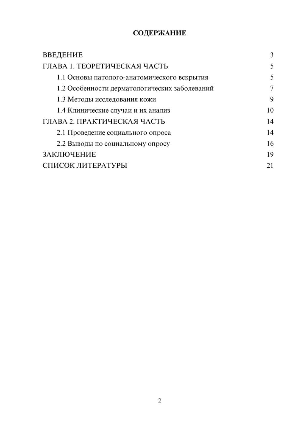 Предпросмотр проекта 2