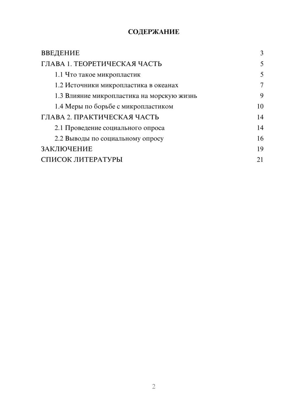 Предпросмотр проекта 2