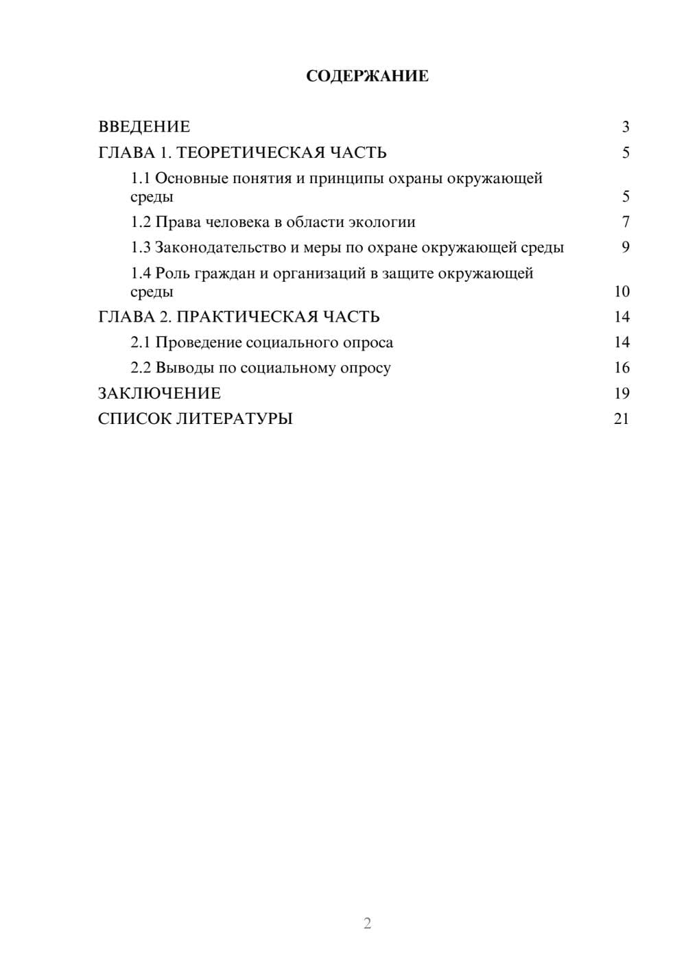 Предпросмотр проекта 2