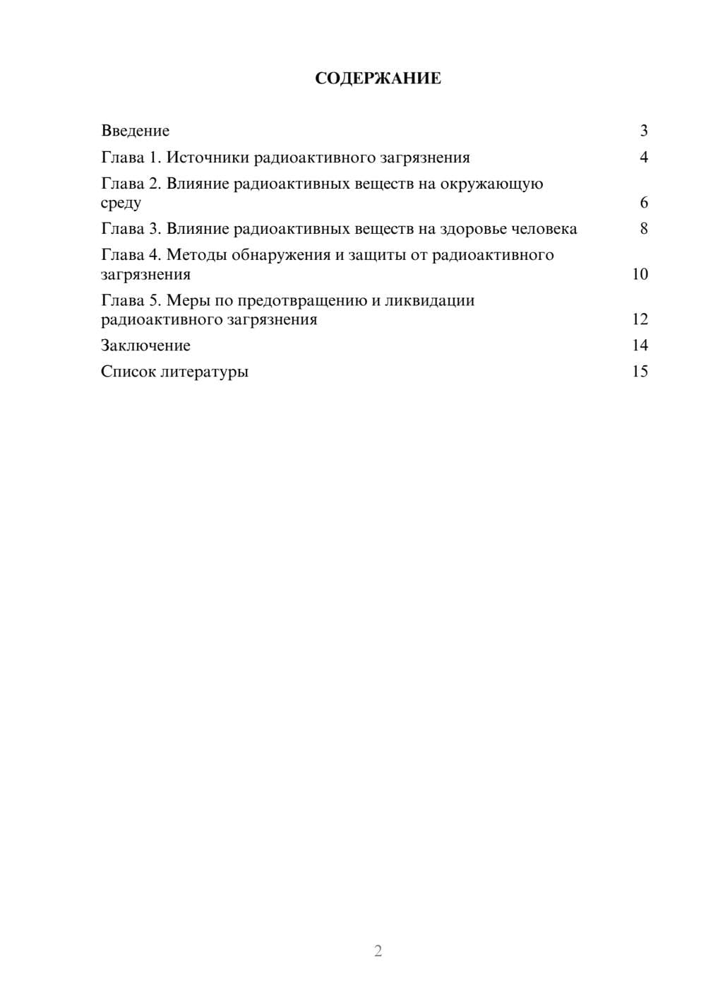 Предпросмотр доклада 2