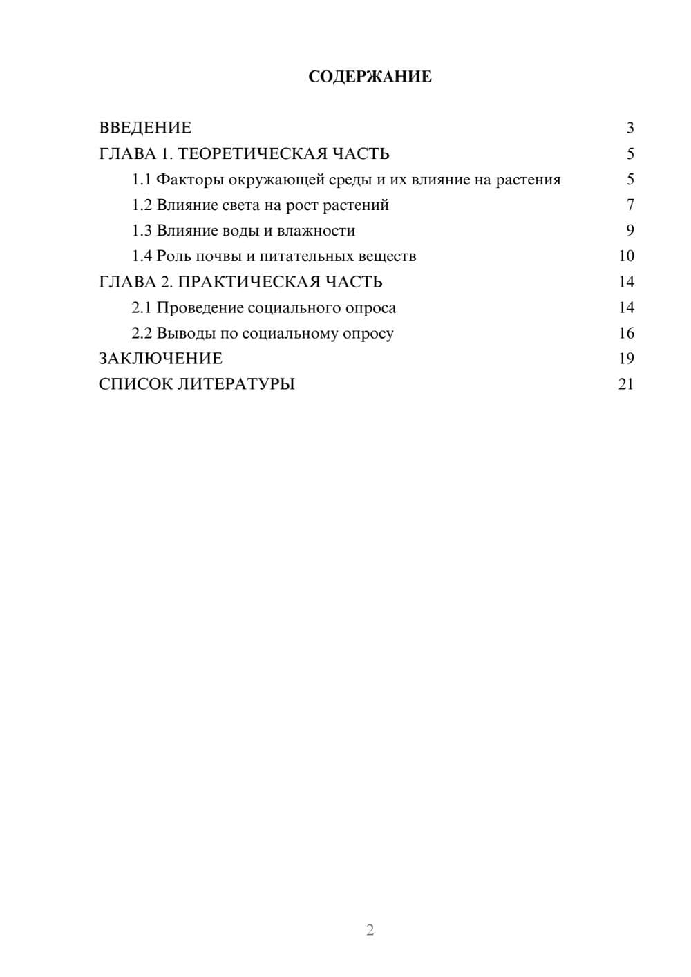 Предпросмотр проекта 2