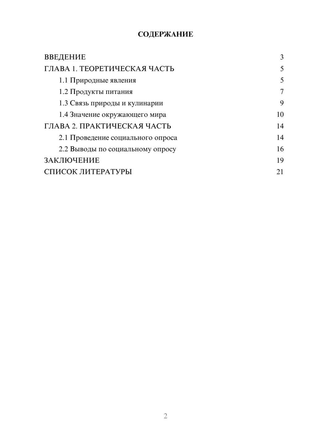 Предпросмотр проекта 2