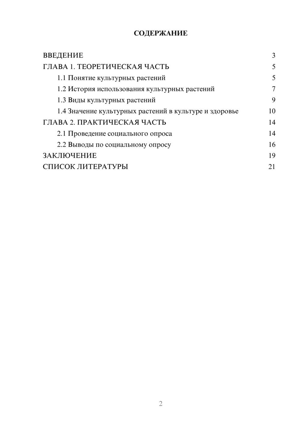 Предпросмотр проекта 2