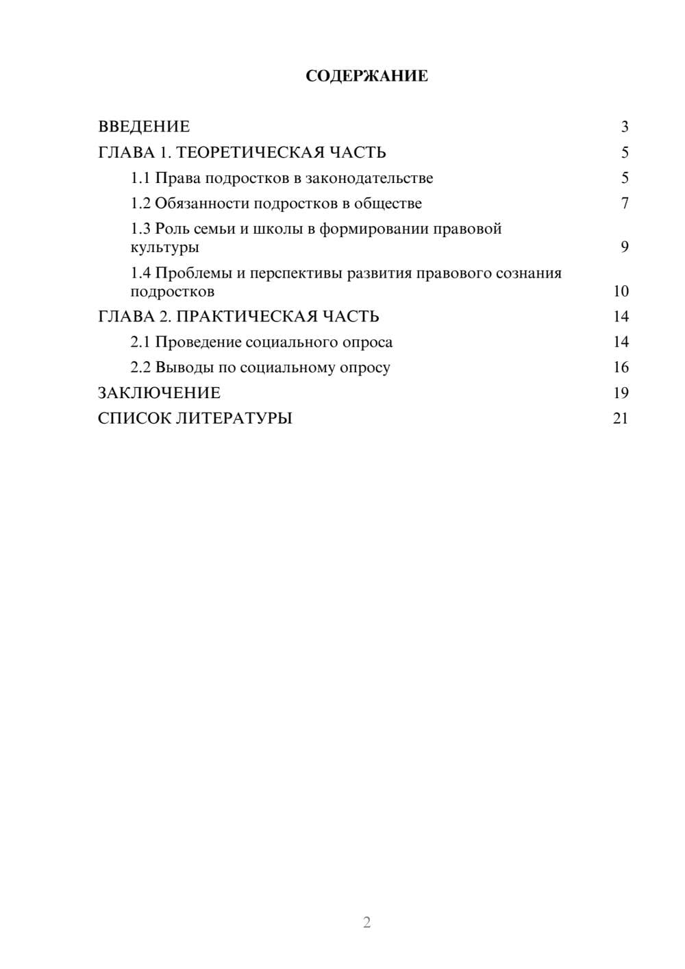 Предпросмотр проекта 2