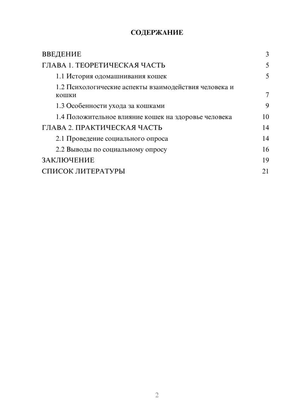 Предпросмотр проекта 2