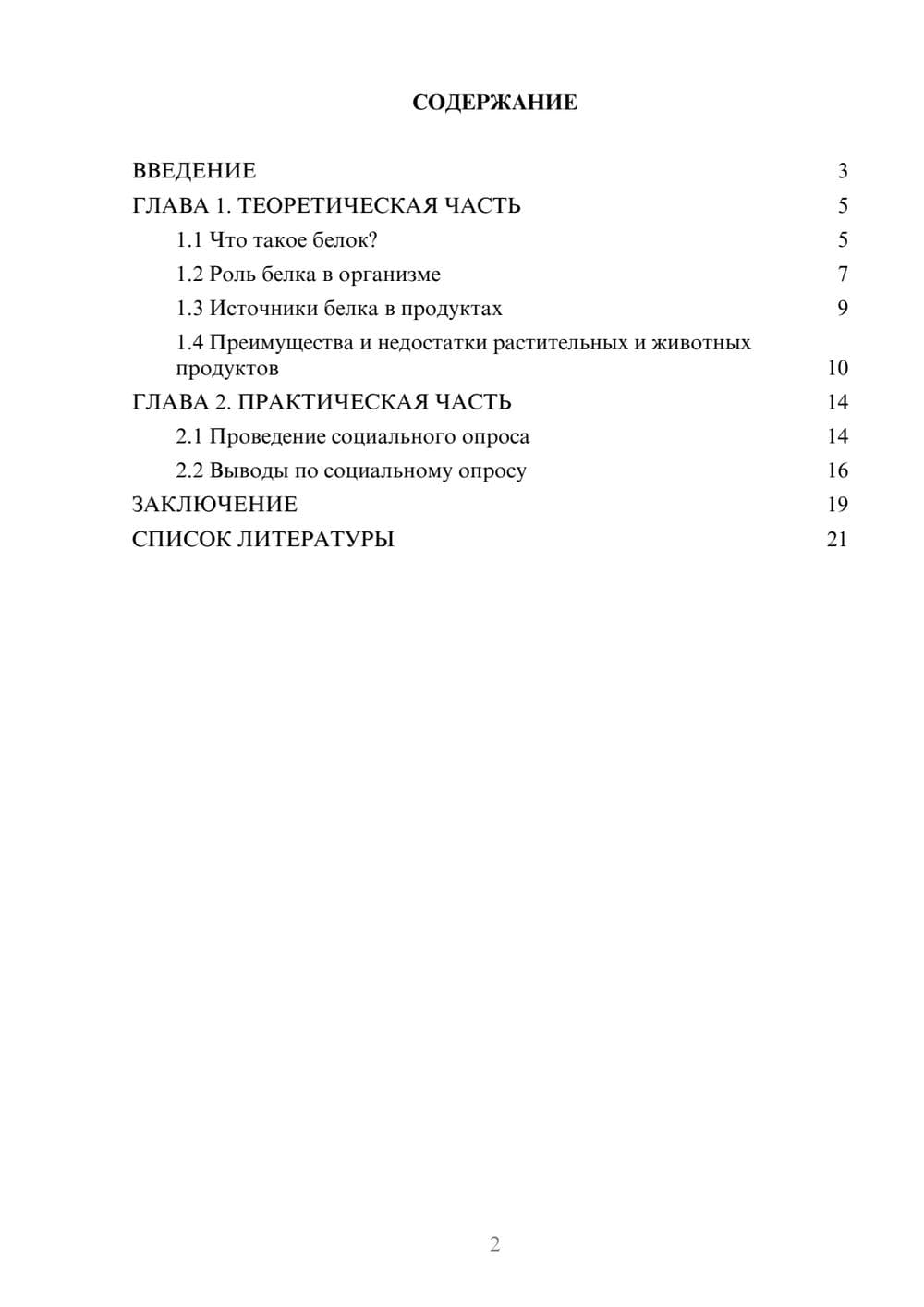 Предпросмотр проекта 2