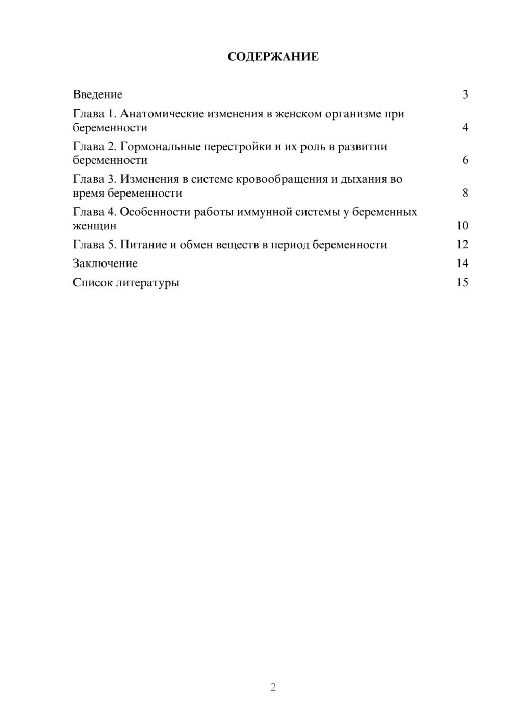 Предпросмотр доклада 2