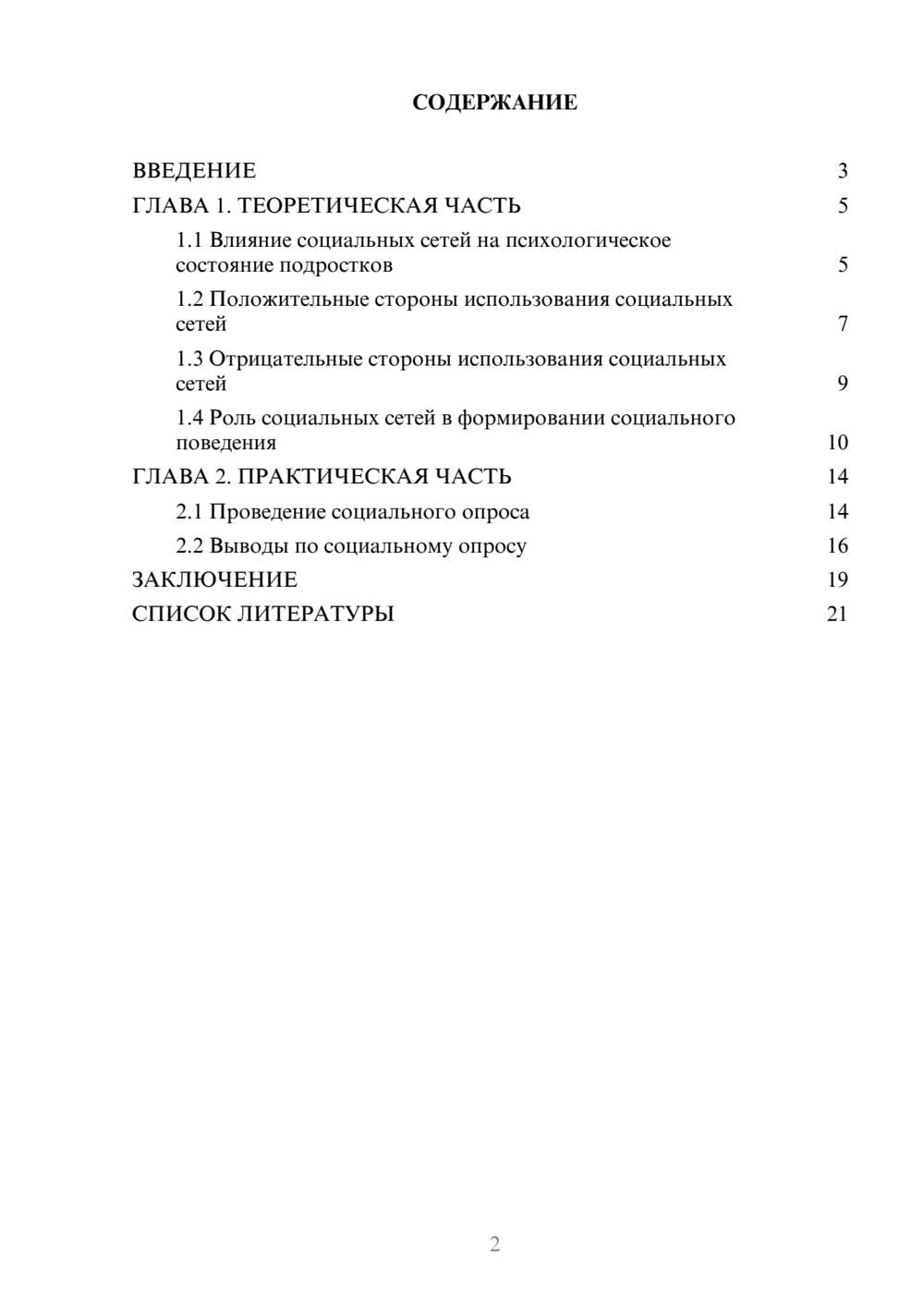 Предпросмотр проекта 2