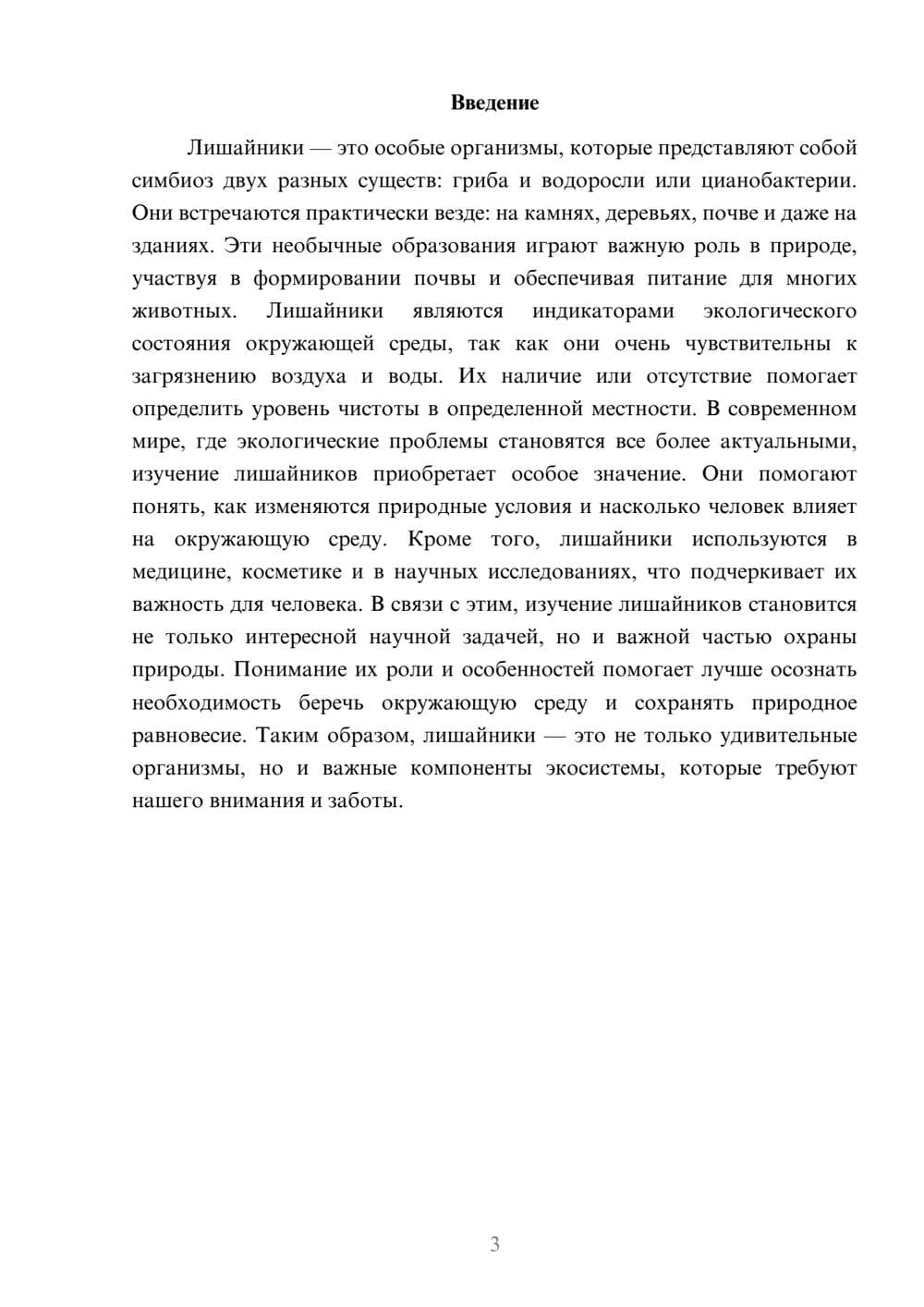 Предпросмотр доклада 3