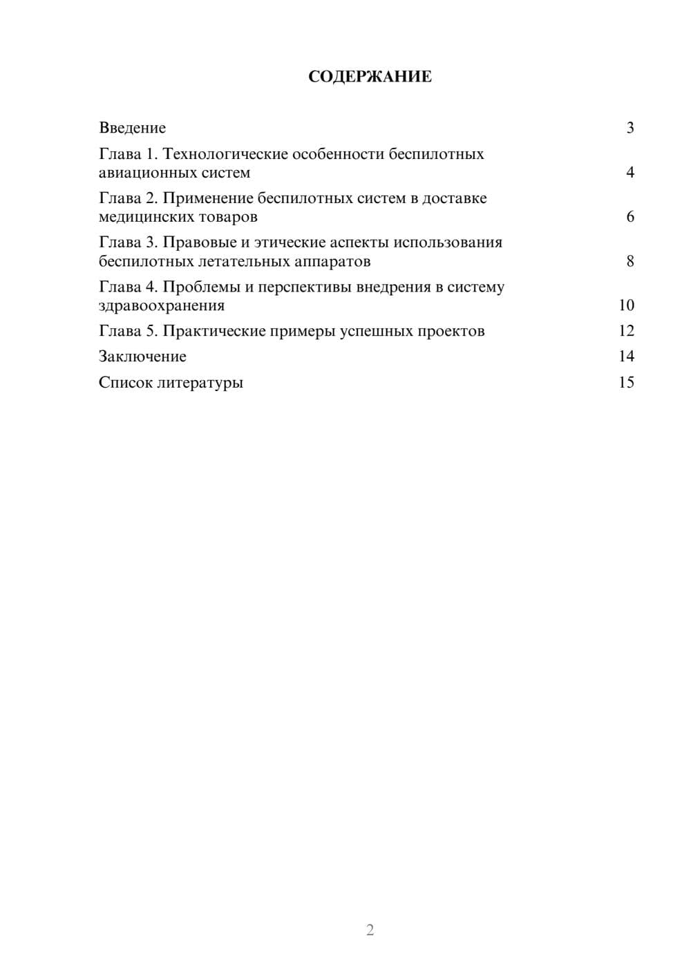 Предпросмотр доклада 2