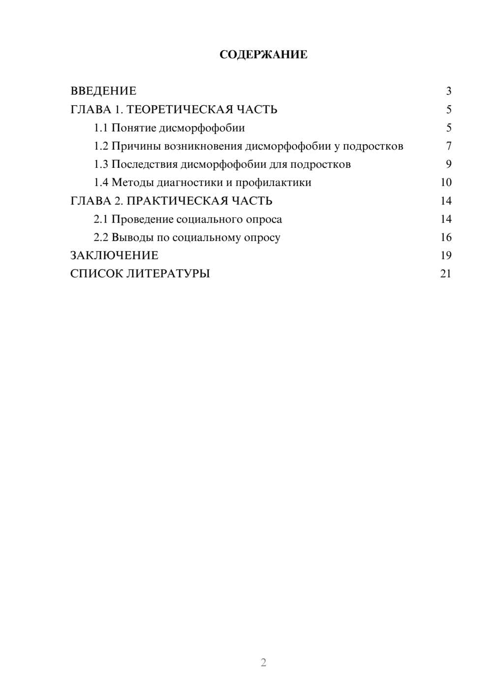 Предпросмотр проекта 2
