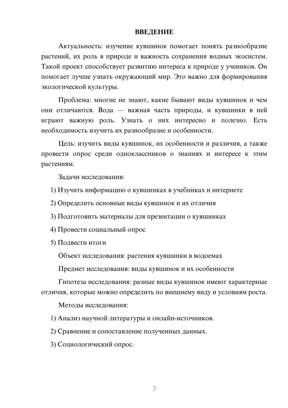 Предпросмотр проекта 3