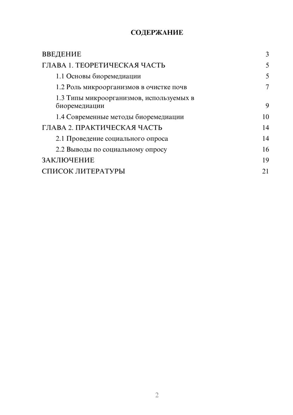 Предпросмотр проекта 2