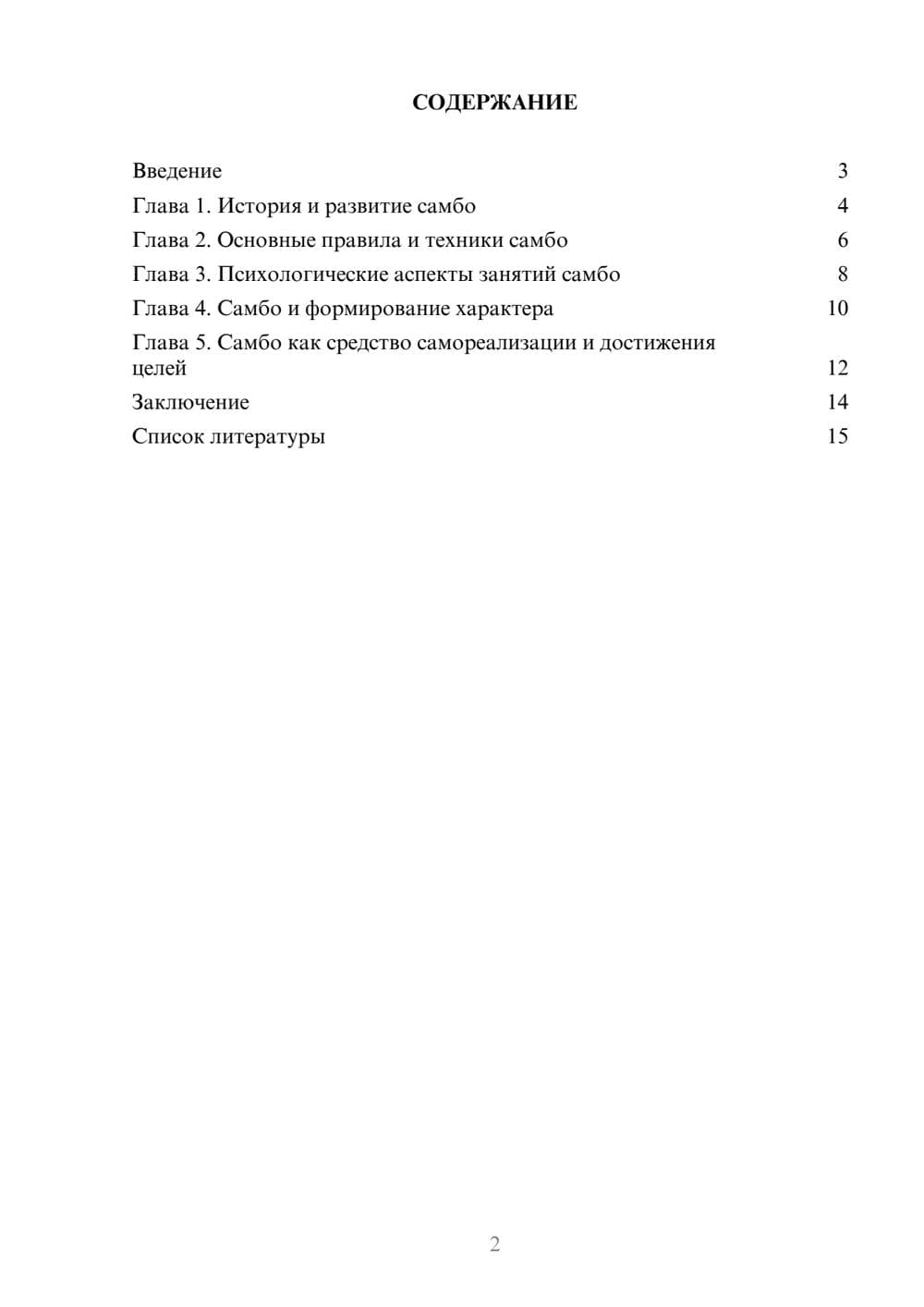 Предпросмотр доклада 2