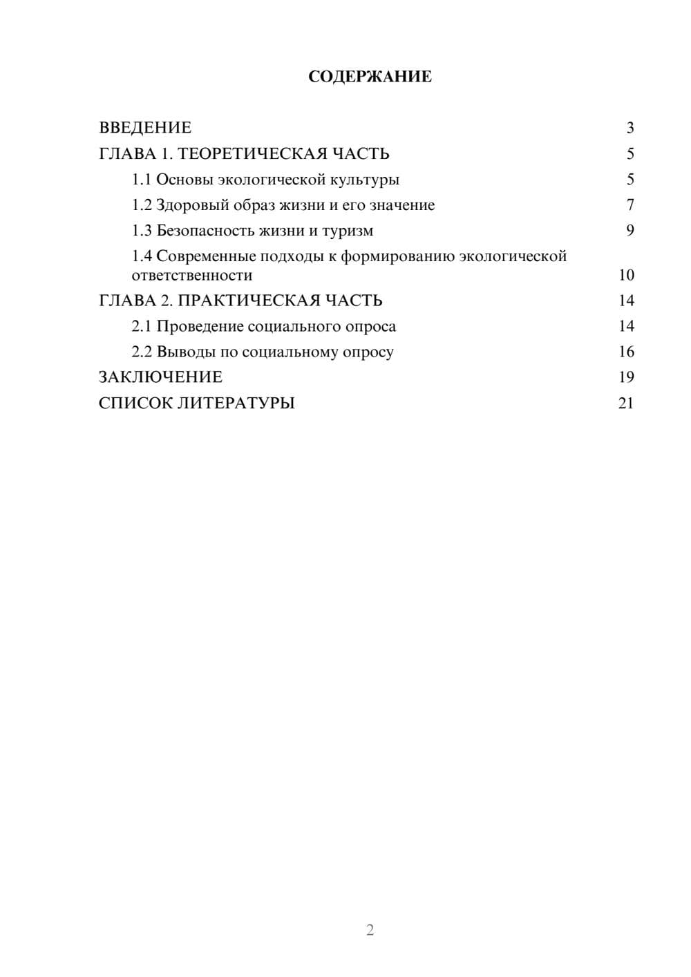 Предпросмотр проекта 2