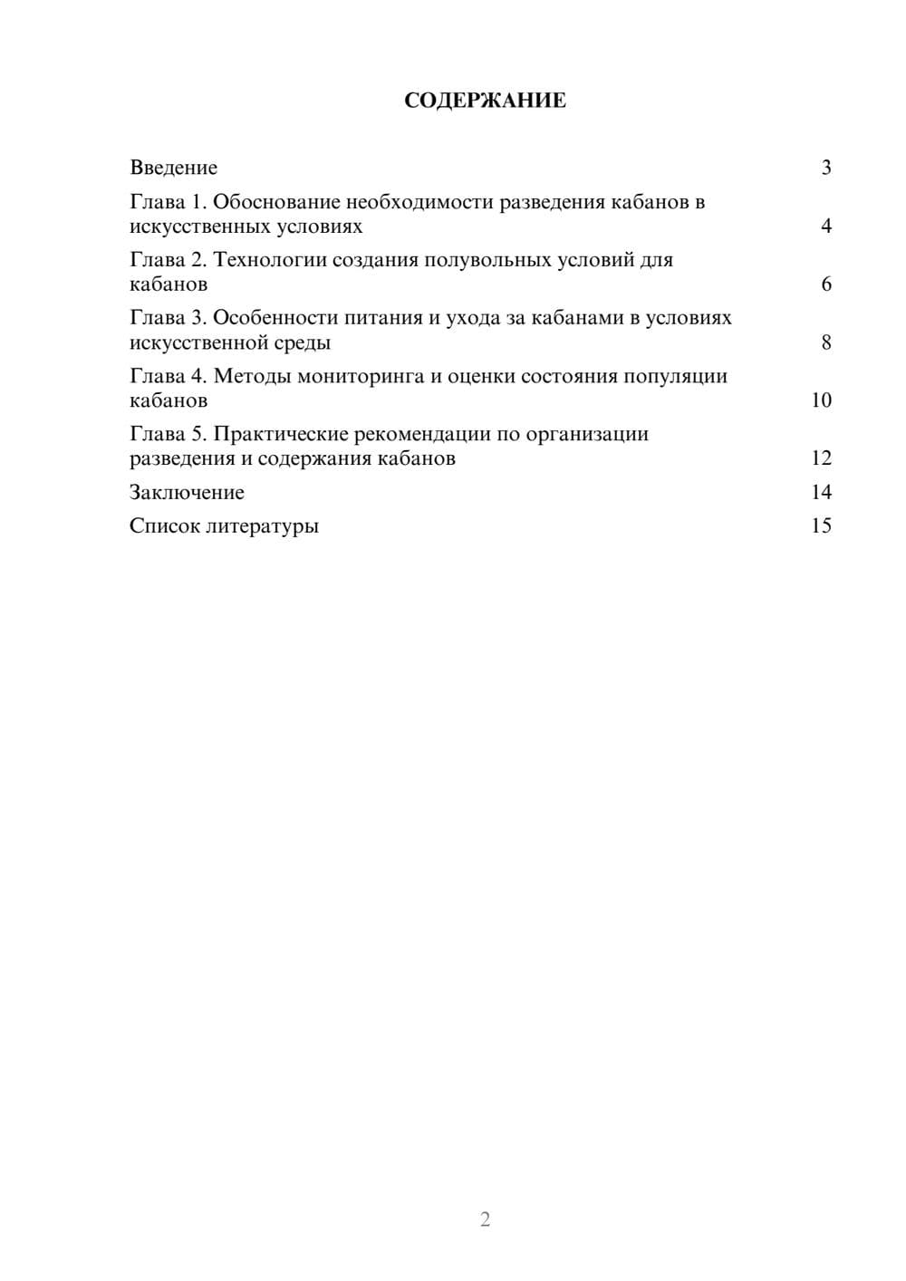 Предпросмотр доклада 2