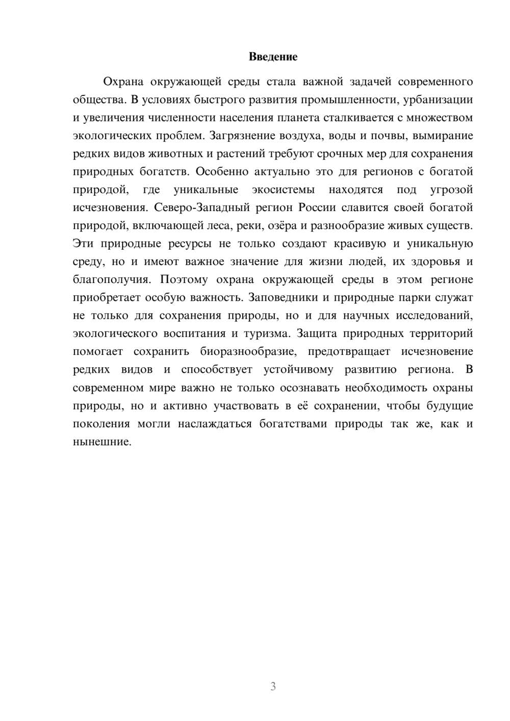Предпросмотр доклада 3