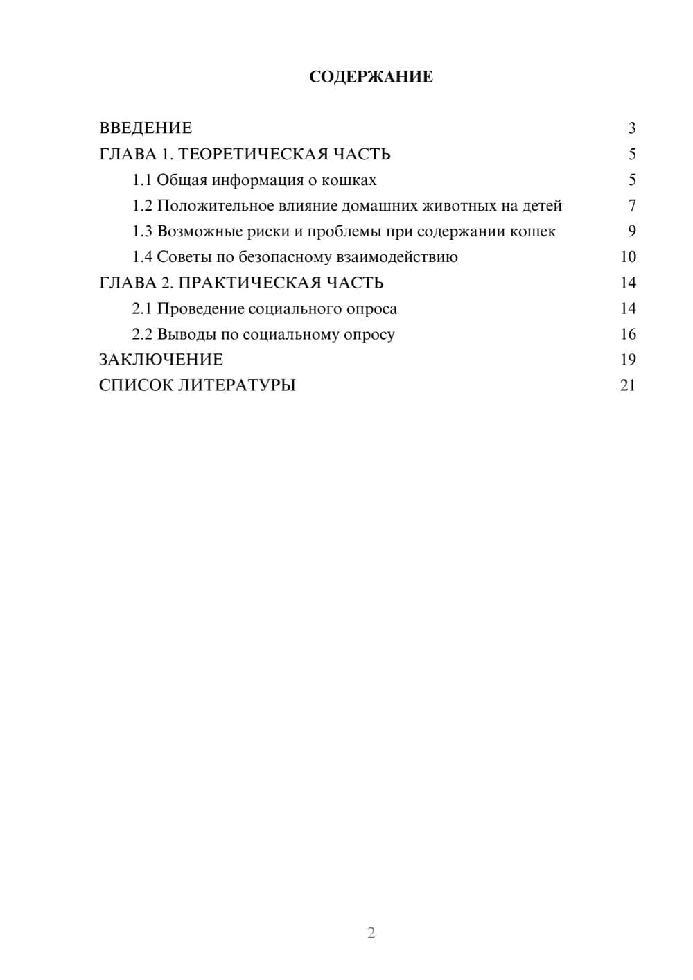 Предпросмотр проекта 2